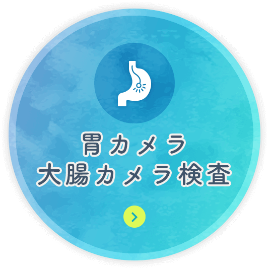 胃カメラ・大腸カメラ検査