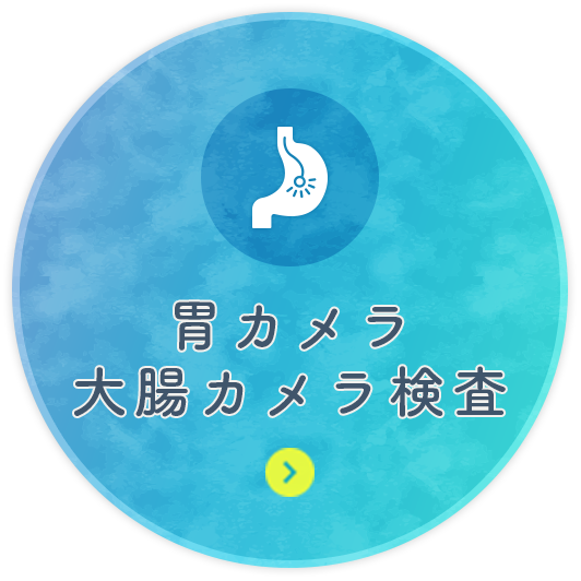 胃カメラ・大腸カメラ検査